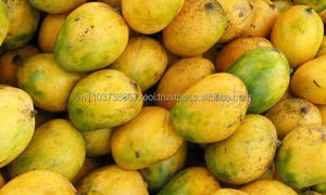 Entrega rápida Tasty Vietnam Fresh Mango - Product Image 4