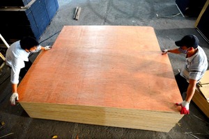 Commerciale rossastro viso e retro compensato 11.5T spessore E2 <span class=keywords><strong>MR</strong></span> E2 colla uso esterno di prima classe - Product Image 2