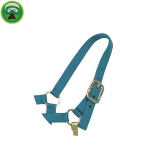 อุปกรณ์ขี่ม้าแบบกำหนดเอง PP Breathable Horse Halter - Product Image 2