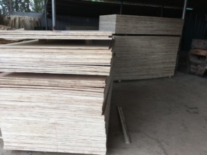 5 Mét 9 Mét Việt Nam Đóng Gói Nhà Sản Xuất Giá Tốt Chất Lượng Tốt Ván Ép Bạch Dương Ván Ép Tấm Gỗ Biển Ván Ép Sản Phẩm Gỗ Mr. P - Product Image 4