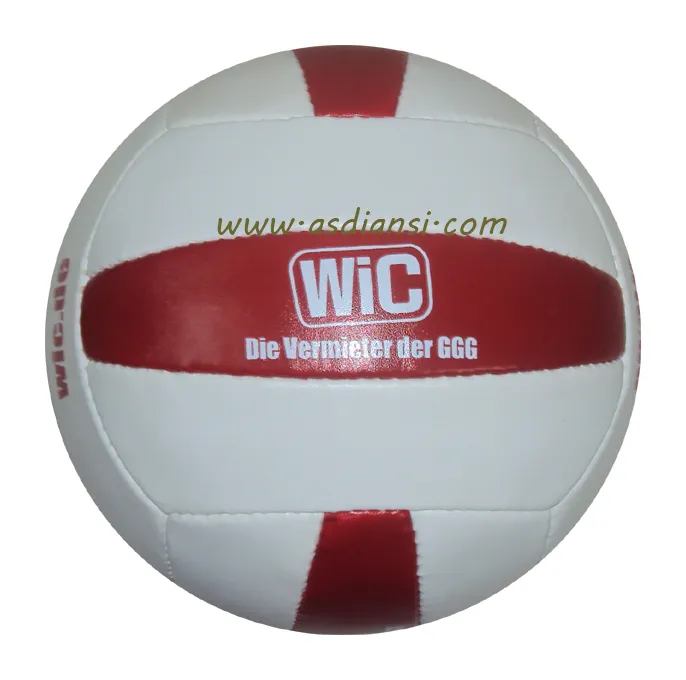 Volleybal Wedstrijd Volleyballen Training Ballen 18 Panel Ball 6 Panel Strand Voetballen Handballen