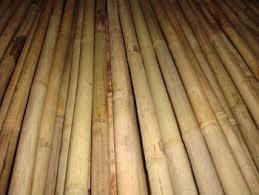 เสาไม้ไผ่ดิบจากเวียดนามที่มีคุณภาพสูง - Product Image 2