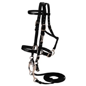 Brida de Nailon para Caballo - Marca OEM/ODM Modelo AIHNB-01 en su Origen, Todos los Colores Disponibles - Product Image 3
