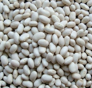 Frijoles Blancos Grandes 180-200 piezas/100g, Grado Superior, Secos, Envasados al Vacío, Venta al Por Mayor - Product Image 3
