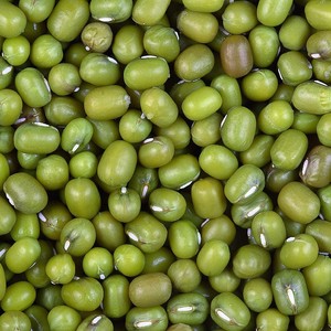 ถั่วเขียวเวียดนาม/ถั่วเขียวคุณภาพสูง - คุณเอสเธอร์ - Product Image 1