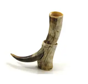 Cow horn Exporter from India