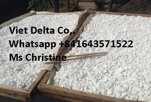 Produit vietnamien naturel, poudre de cassava, dyicho extensible, vente en gros - Product Image 2