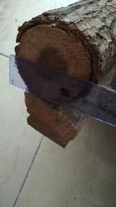 BOIS SEC/BOIS DE CHAUFFAGE de haute qualité grande quantité à exporter EAU, Arabie Saoudite, Koweït, Irak,... whatsapp: + 84 911 735 511 - Product Image 3