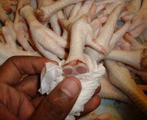 Venta Caliente de Patas de Pollo Halal Congeladas a Granel, Corte de Primera Calidad para Consumo Humano - Product Image 1