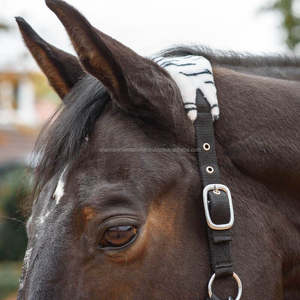 Shemax ecuestre caballo herradura de Headcollar y Leadrope Halter - Product Image 6