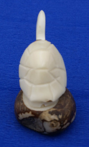Handmade Miniature Tagua Nut Turtle Statue Unique Ecuadorian Art Wood Craft Figurine for <b>Wooden</b> <b>Boxes</b> & Wall Signs - Product Image 3
