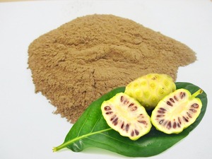 Poudre de Noni Morinda de haute qualité, fruits frais, meilleur prix - Product Image 3