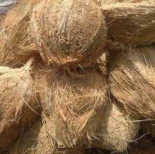 Precio barato y coco de gran calidad Coco semicusellado Maduro - Product Image 6