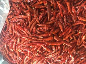 Piments rouges frais cultivés au Vietnam, goût épicé, boîte de 5 kg pour l'alimentation et l'agriculture - Product Image 2