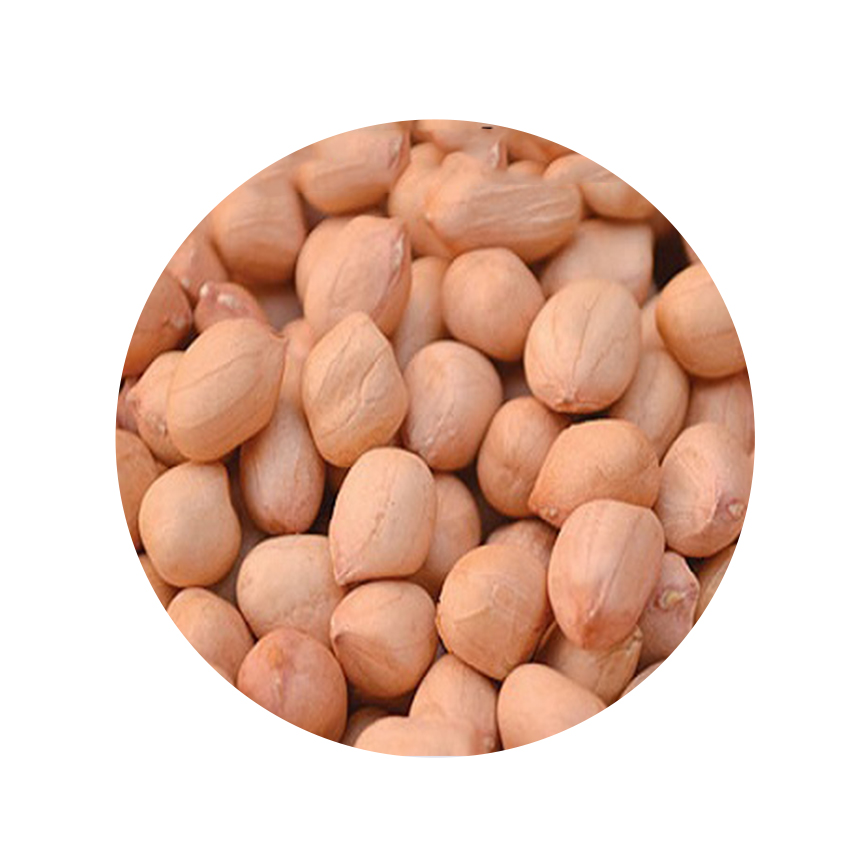 арахис производители. арахис уральский лидер. арахис натурешка. арахис. арахис производители.