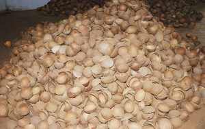 POLVO DE CÁSCARA DE COCO NATURAL CRU - Product Image 4