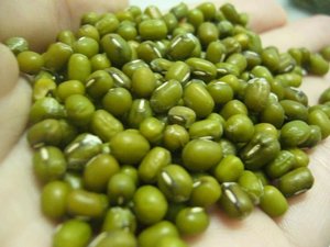Venta al por Mayor de Frijoles Mung de Primera Calidad y Frijoles Mung Verdes Secos con Cáscara, Origen Sudáfrica, Paquete de 50 kg - Product Image 6
