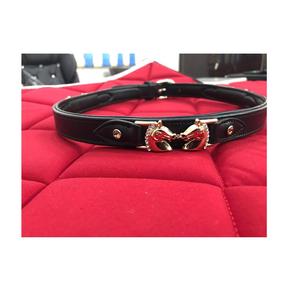 Cinturón de Cuero de Lujo para Mujer con Hebilla de Diamantes, Accesorio de Moda Ecuestre Occidental Elegante - Product Image 1