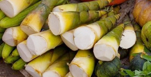 BROUSSINES DE BAMBOUS MARINÉES POUR L'EXPORTATION - Product Image 6