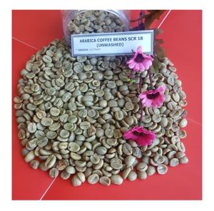 เมล็ดกาแฟอาราบิก้าโรบัสต้าสีเขียวจากเวียดนาม + 84398885178 Jenny Doan - Product Image 3