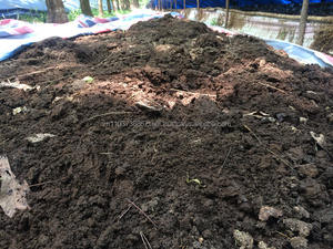 Engrais vermipost biologique, fosset bio, vente en gros, livraison depuis le Vietnam - Product Image 6