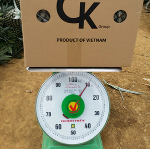 PIÑA FRESCA DE ALTA CALIDAD-MEJOR PRECIO-PIÑA MD2 - Product Image 1