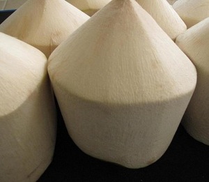 Diamante de coco-coco fresco-en VietNam - Product Image 2