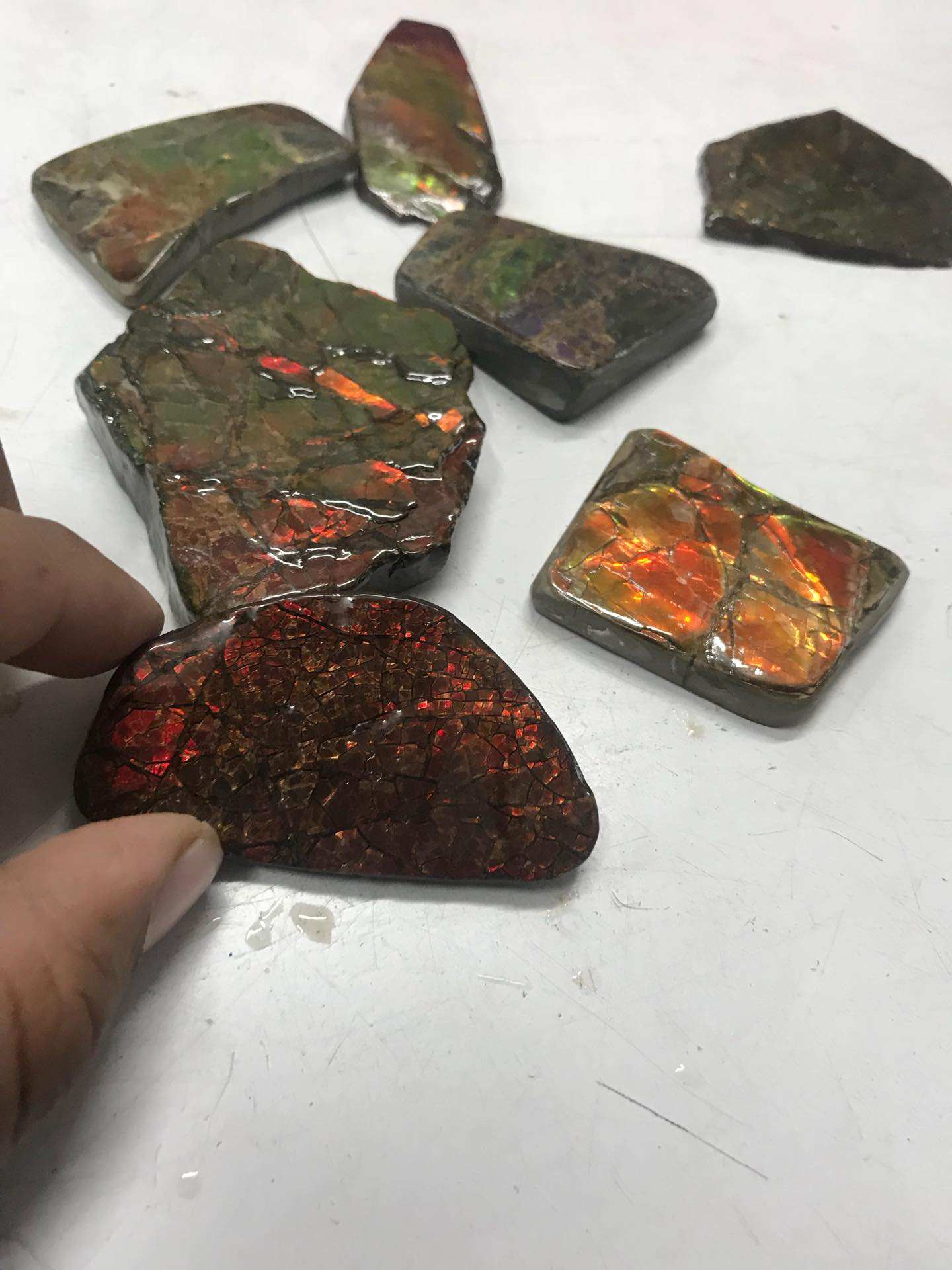Ammolite แบบหยาบ