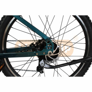 Embrayage de vélo électrique géant, pour la montagne, 2019 - Product Image 4