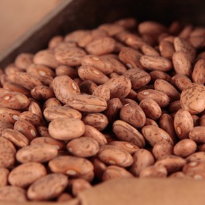 Frijoles Rojos Morados Salpicados de Sudáfrica, en Granel, 25 kg, en Venta - Product Image 1