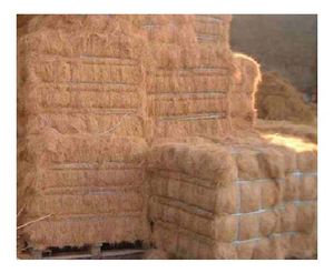 Offre Spéciale FIBRE DE NOIX DE COCO AVEC LE PRIX LE MOINS CHER - Product Image 6