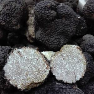 ITALIAN BLACK SUMMER <b>TRUFFLE</b> WILD best quality growth in Italy low MOQ ORGANIC RESTAURANT SUPPLIER - Product Image 2