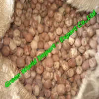 Dried Whole Spit Slice Betel Nut, Premium Quality