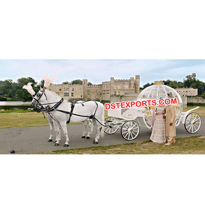 Cinderrala Carriage For Wedding Baarat Cinderella Pumpkin Horse Dawn Carriage Indian Wedding Decorated Cinderella Buggy