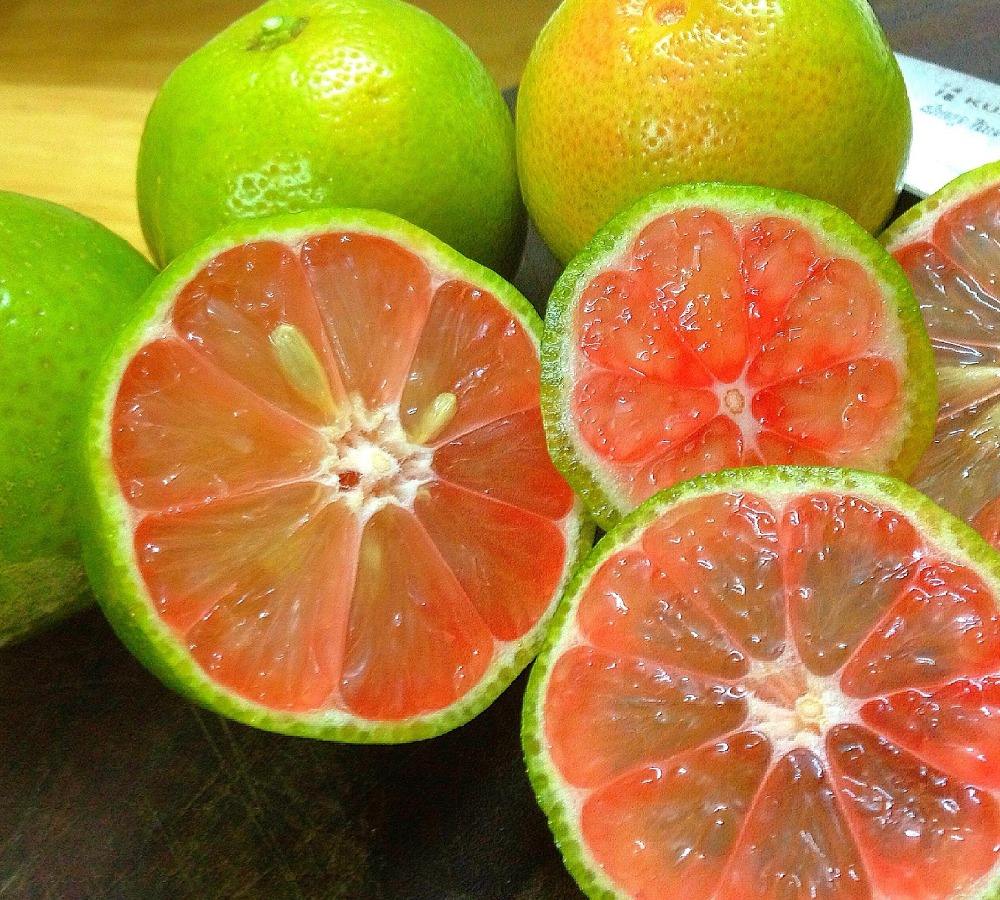 Taze kireç/Vietnam taze limon pembe hamuru/taze limon/çekirdeksiz/whatsapp + 84-845-639-639