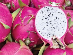 Fruit du dragon frais et savoureux du Vietnam - Product Image 4