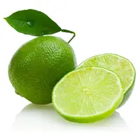 Fresh Lime Quality VietNam / Fresh Lemon / Seedless Lemon