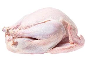Pollo Entero Congelado Orgánico Halal con Vitaminas y Cafeína, Empaque en Caja, Peso 800-2200g, Origen Sudáfrica - Product Image 2