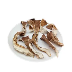 Pleurotus Ostreatus Jamur Tiram Kering, Kualitas Tinggi Buah Buah Kerang Jamur Pleurotus Ostreatus Jamur Shiitake - Product Image 1