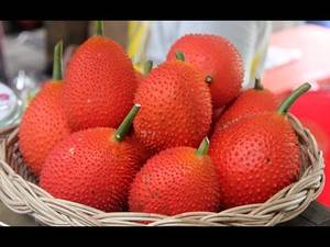 Aceite de fruta Gac, aceite de fruta Gac rojo oscuro Natural, Sophie - Product Image 5