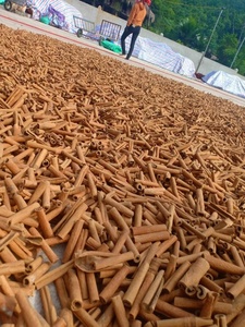 Long Stick Cassia Vietnam-Haute qualité de qualité supérieure certifiée ISO séchée AD traitement brut Cassia (0084 398885178) - Product Image 4