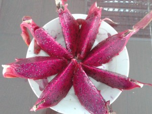 FOURNISSEUR DE FRUITS DU DRAGON 2024 - Product Image 2