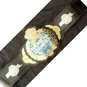 CEINTURE DE LUTTE DE QUALITÉ SUPÉRIEURE PERSONNALISER OEM ODM FABRICATION DE HAUTE QUALITÉ CEINTURE DE CHAMPIONNAT DE LUTTE PERSONNALISÉE UFC - Product Image 1