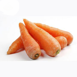 ขึ้นทะเบียนเป็นผลิตภัณฑ์อาหาร แครอทสดเวียดนาม ปี 2021 - Product Image 6