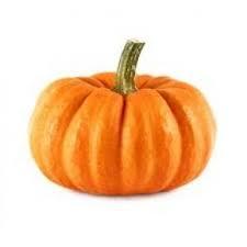 Exportador a granel indio de aceite esencial líquido prensado en frío de semilla de calabaza a precios altamente competitivos - Product Image 2