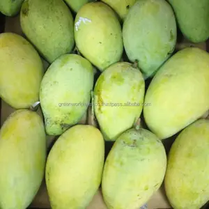 Королева тропических фруктов: IQF, замороженное манго-популярный продукт по лучшей цене