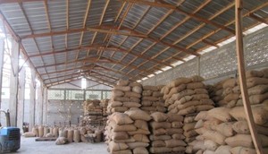 เม็ดมะม่วงหิมพานต์ดิบคุณภาพสูงจาก ww240แอฟริกาใต้ ww320 ww450 SW240 SW320. - Product Image 4