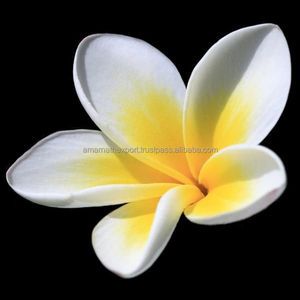 น้ำมันหอมระเหยกลิ่นกุหลาบแดงเกรดบำบัดบริสุทธิ์แบบ100% - Product Image 5