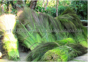 Material de falda de hierba/MATERIAL DE ESCOBA DE HIERBA A LA VENTA en 2020 - Product Image 3