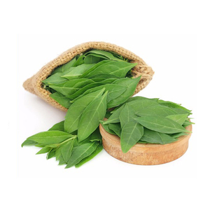 Henna India 100% Herbal, Triple Refinada, Colores para el Cabello, Proveedor de Arshia Manufactured - Product Image 4